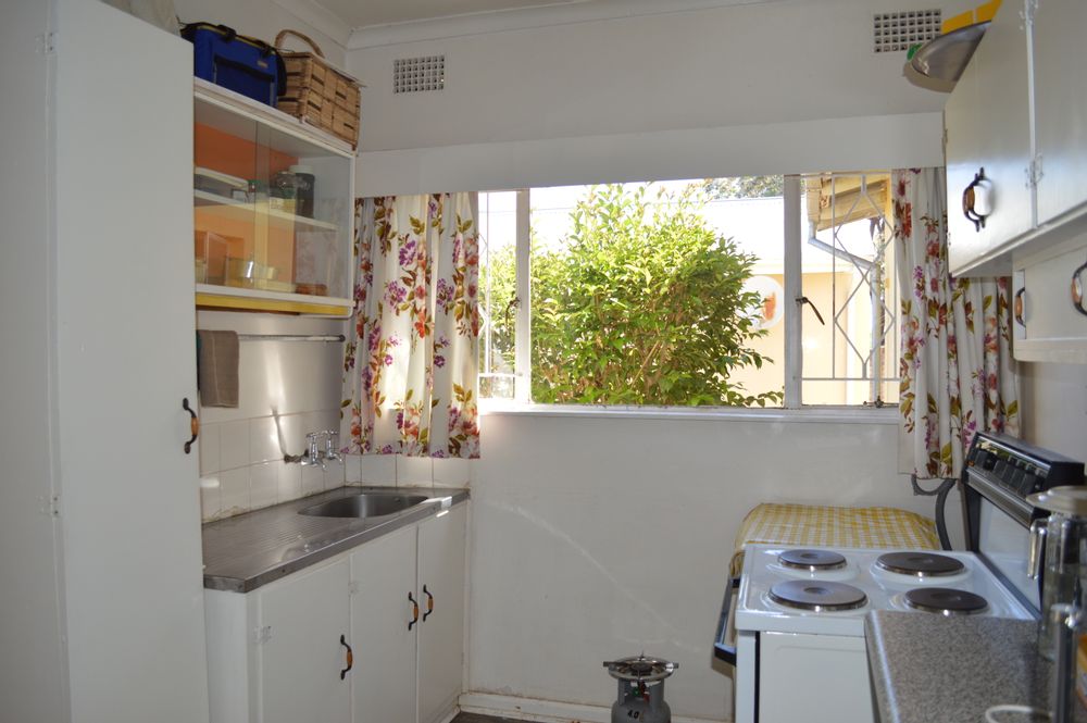 Window view of back garden