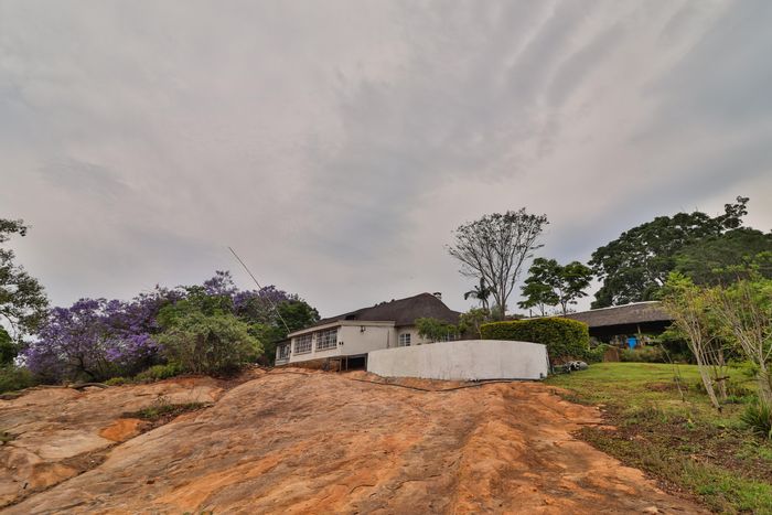 For Sale: 6Ha Small Holding in White River AH with 7 Bedrooms, Flats, and Trees.