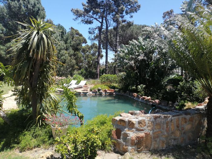 To Rent: 3-Bedroom Small Holding in High Riding Country Estate with Shared Pool.