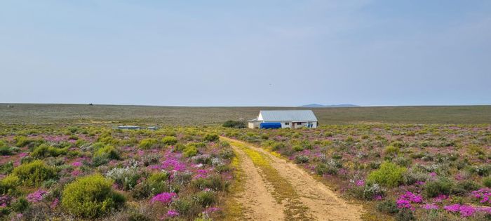 Farm for Sale in Nieuwoudtville Central: 237ha, solar power, water supply, security.