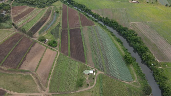 For Sale: Farm in Albert Falls with water rights, homestead, and arable land.