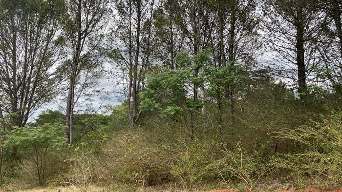 Vacant Land Residential For Sale in Bathurst Central with beautiful views and expansion potential.