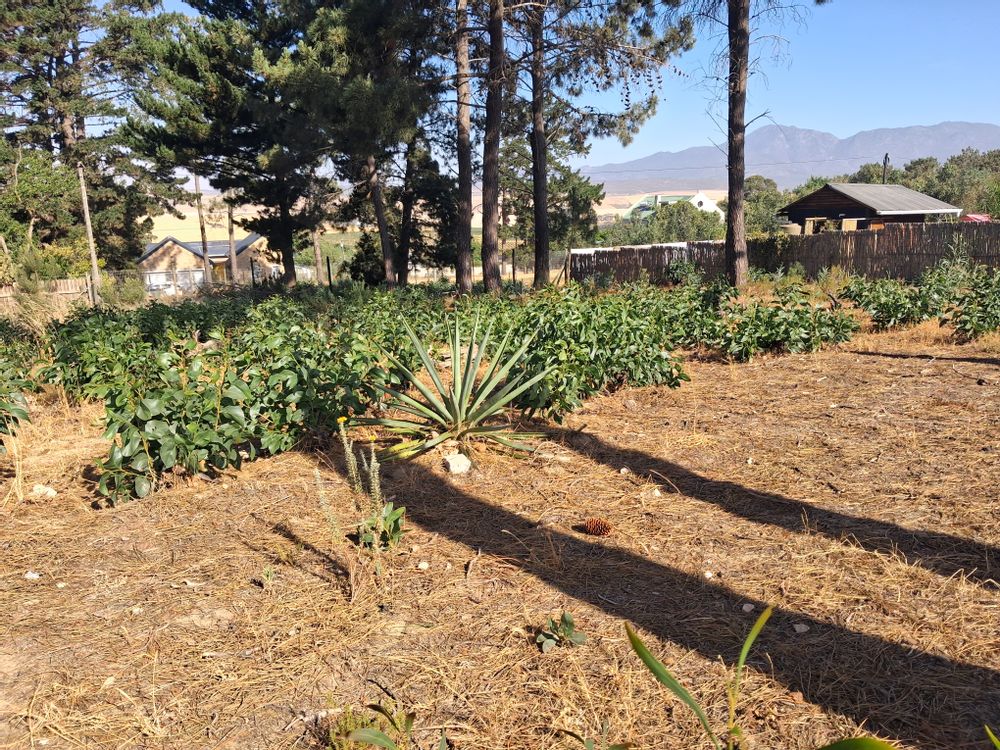 Level and easy to build