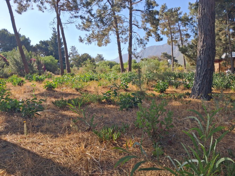 Mountain views both sides