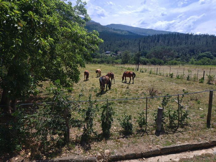 Vacant Land Residential in Suurbraak for Sale: 1797 m² near Buffeljagsrivier.