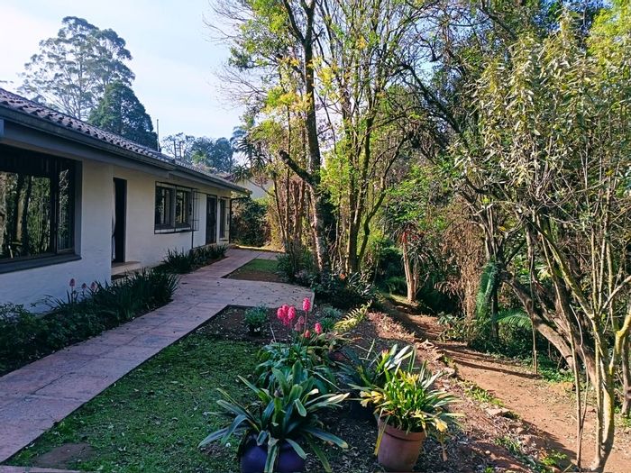 House To Rent in Hilton Central: 3 beds, 2.5 baths, double garage, pet-friendly.