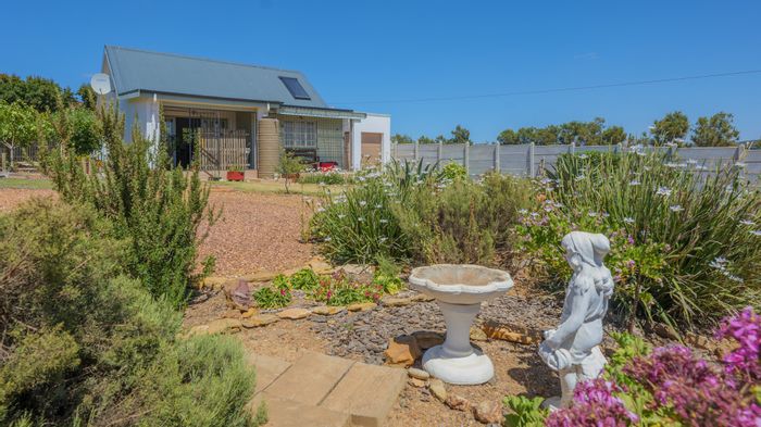 Napier Central House For Sale: Spacious 1,038m² plot, double garage, expansion potential.