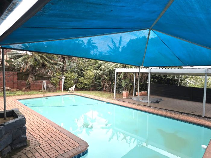 Spacious Glen Hills house with pool, four bedrooms, and ample parking. To Rent.