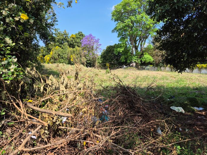 Vacant Land Residential For Sale in Pelham - 983 sqm corner stand, prime location.