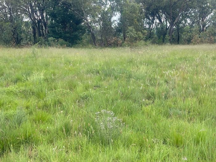 Walker Fruit Farms Small Holding For Sale: 4ha fertile land, ideal for agriculture.