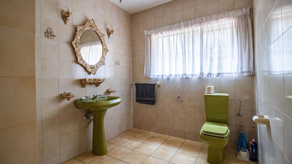 Guest loo with shower