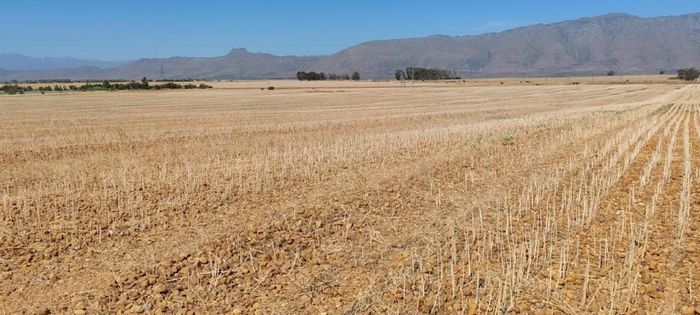 For Sale: Hermon Central Farm with 198 Ha arable land, viewing by appointment.