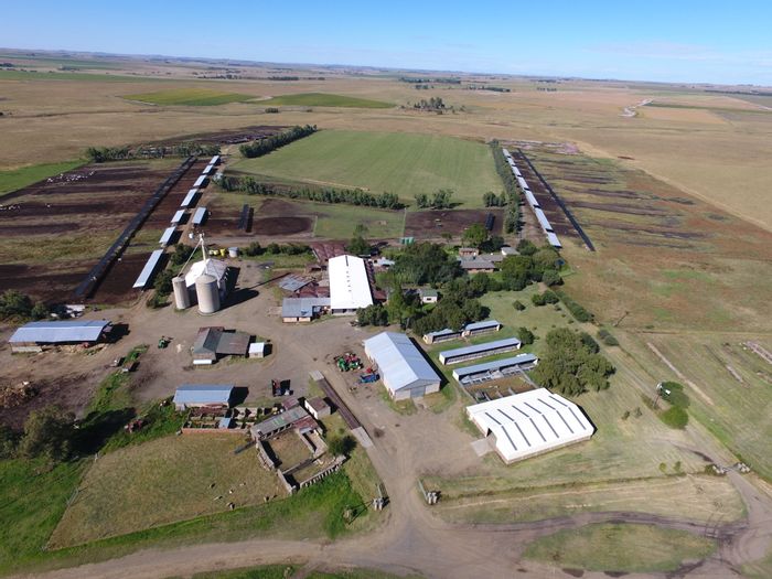 Heilbron Rural Farm For Sale: 600ha, extensive infrastructure, livestock facilities, and water resources.