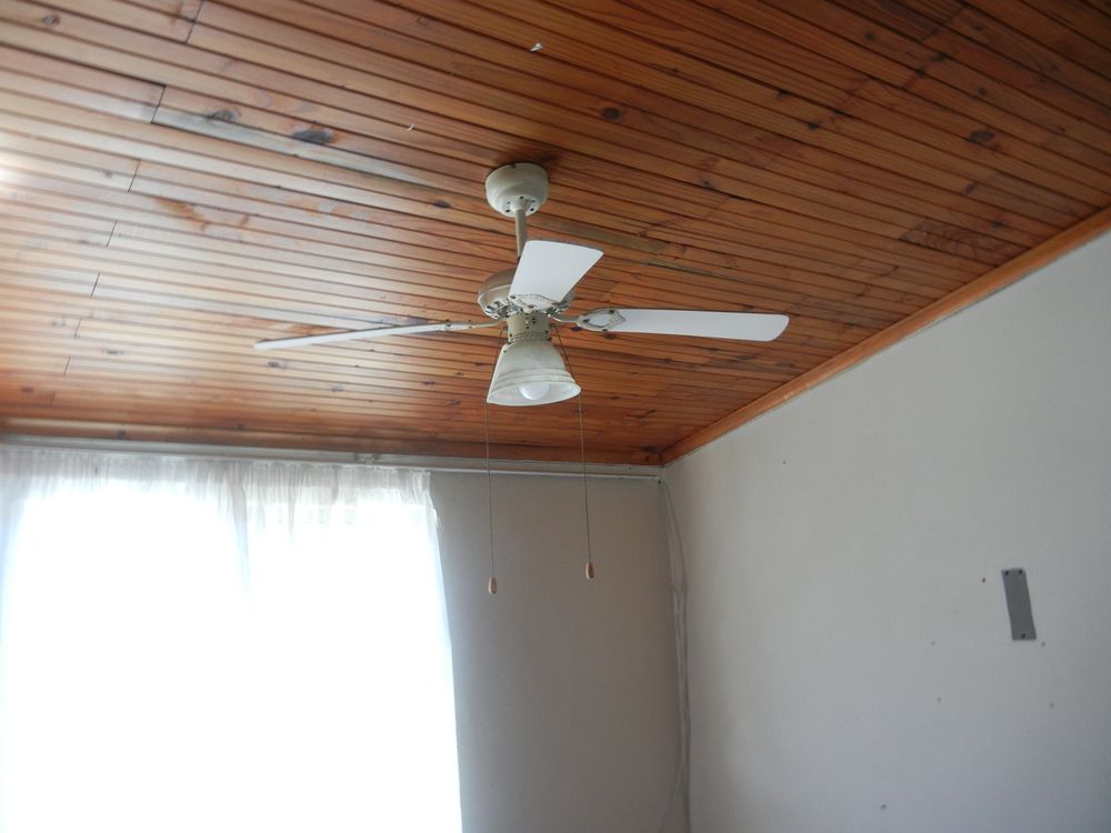Fan in lounge