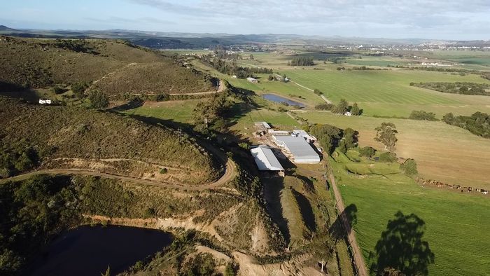 Riversdale Rural Farm For Sale: Dairy, irrigation, residential, and operational facilities included.