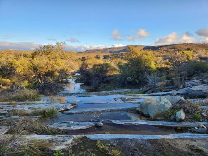 Laingsburg Rural Farm For Sale: Game and sheep farm with water sources, fencing, accommodations.