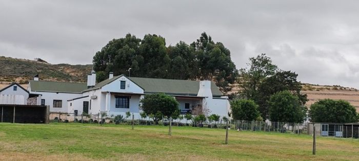 For Sale: Productive Farm in Darling Central with vineyards, livestock facilities, and renovated homes.