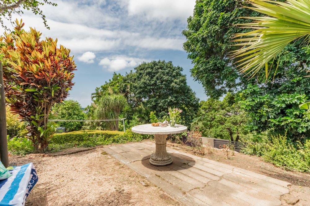 Lovely trees and views