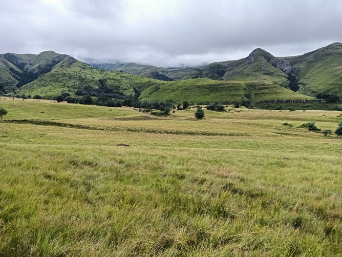 Elliot Rural Farm For Sale: 390ha grazing land, 5 camps, staff housing.
