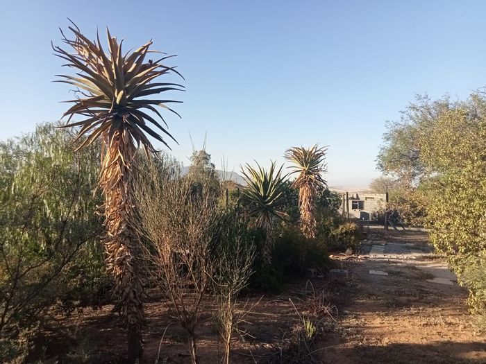 Koringberg Vacant Land For Sale: 1743 m² with water connection, toolroom, and half-built house.