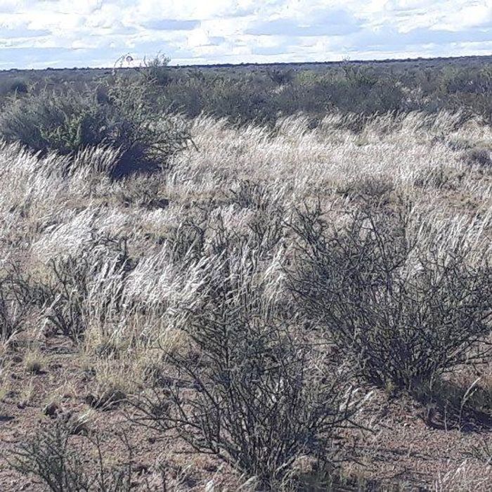 Farm for Sale in Brandvlei Central: 2,210.39 ha with water resources and grazing land.