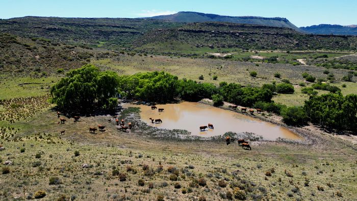 Farm for Sale in Lady Grey Rural: Natural water, fencing, scenic mountain views.