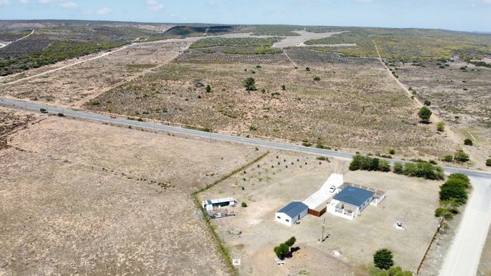 For Sale: 134.7 Hectare Farm in Stilbaai Rural with Olive Trees and Privacy.