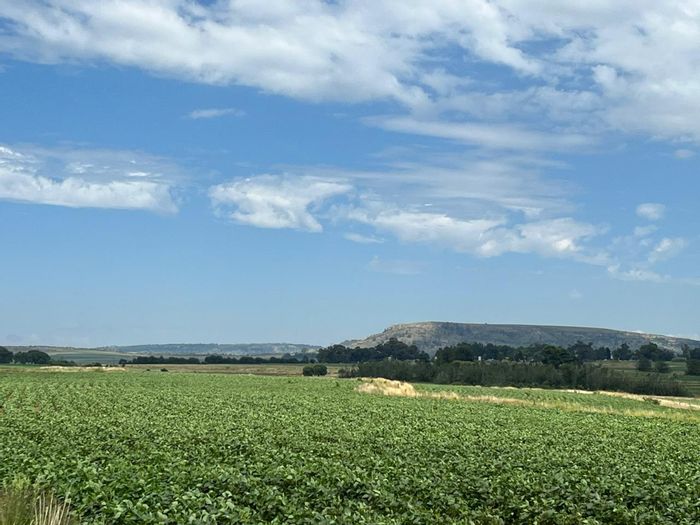 For Sale: 485 ha farm in Ladybrand Rural with livestock, crops, and water supply.