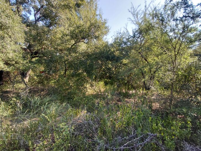 Vacant Land Residential in Marloth Park Central For Sale, borders parkland, ideal for building.