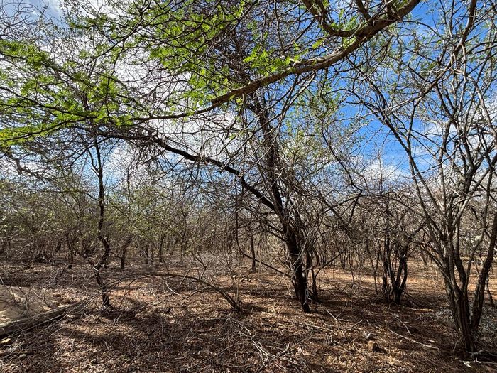Marloth Park Central: For Sale, Vacant Land Residential, riverfront views, near Kruger Park.