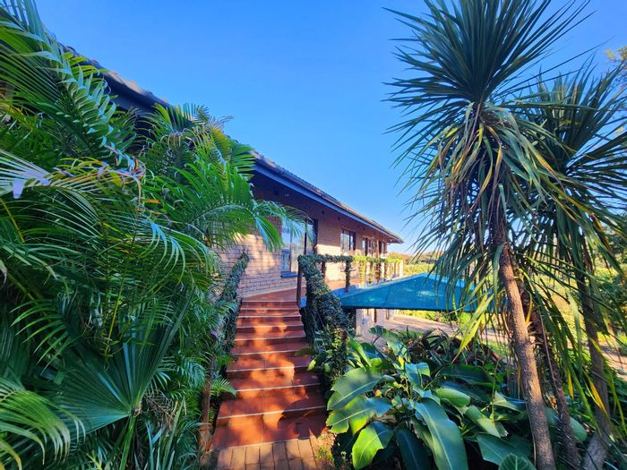 Spacious Umtentweni house with multiple flats, pool, and ample parking for sale.