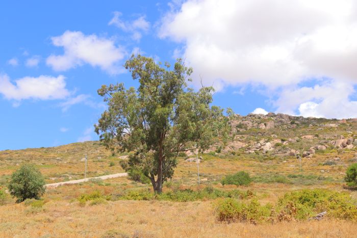 Vacant Land Residential For Sale in St Helena Views: Build your dream home today!