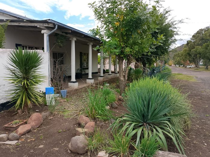 Dual homes in Steynsburg Central for sale: rental potential, secure parking, gardens.