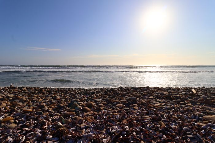 Mile 4: Vacant Land Residential For Sale with Ocean Views and Development Potential.