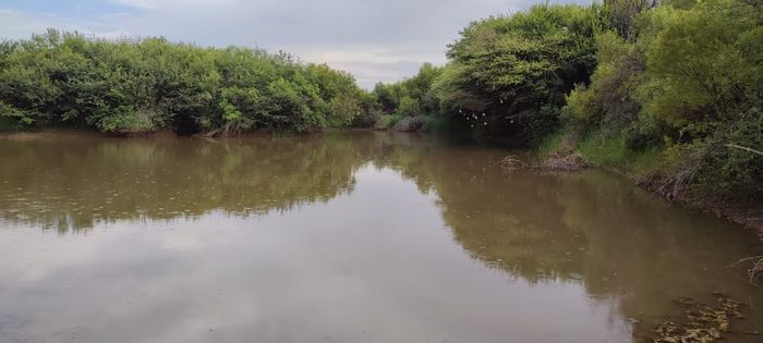 Vacant Land Residential For Sale in Swartruggens Central with farming amenities and boreholes.