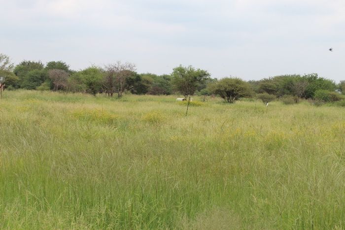 Vacant Land Residential in De Put Sh, For Sale, 449 m² near Shoprite.
