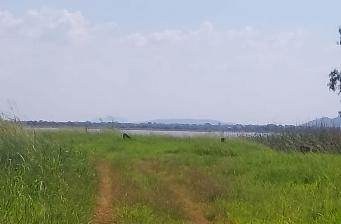 Northam Central Farm For Sale: 8.31 hectares near Swartklip Dam, ideal for home.