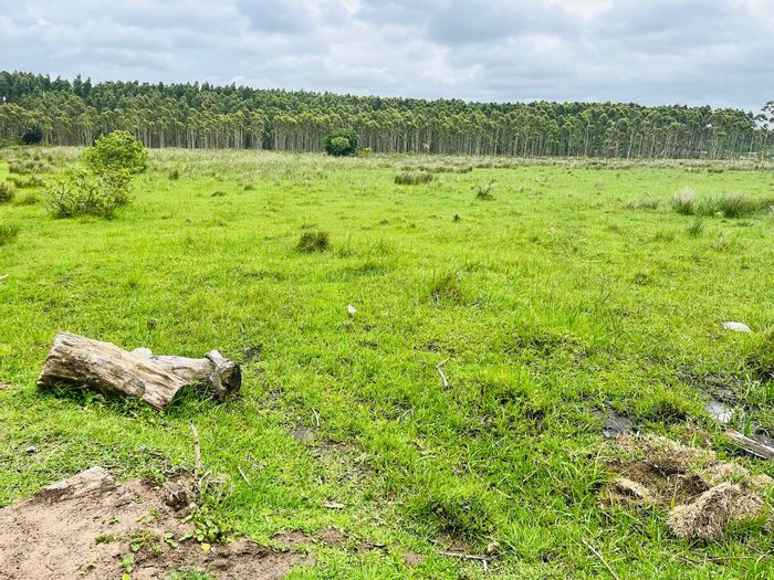 Vacant Land Residential in Port Dunford, 900 m², ideal for development. For Sale.