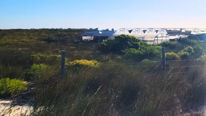 Hartebeesfontein Farm For Sale: 4 beds, tunnels, workshop, borehole water.