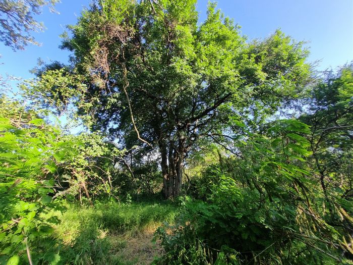 Vacant Land Residential For Sale in Leadwood Big Game Estate with scenic views.