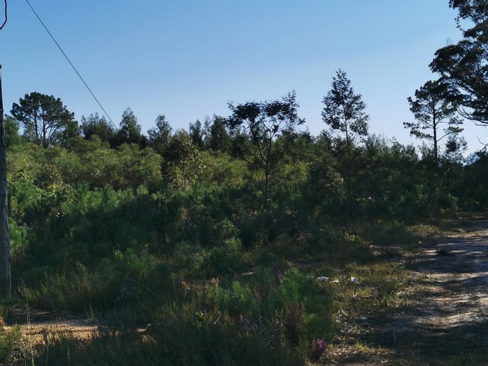 Vacant Land Residential For Sale in Roodefontein AH - 6.6 hectares, services available.