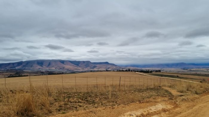 Farm for Sale in Badplaas Central: Arable land, water sources, farmhouse, and workers' homes.