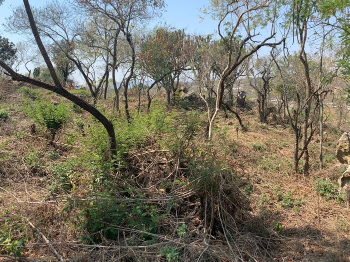 Vacant Land Residential in Drum Rock For Sale, 1560sqm, secure estate amenities nearby.