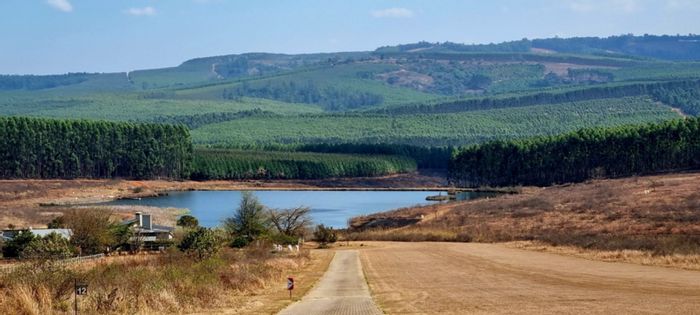 Vacant Land for Sale in White River Estates with Airstrip and Hiking Trails.