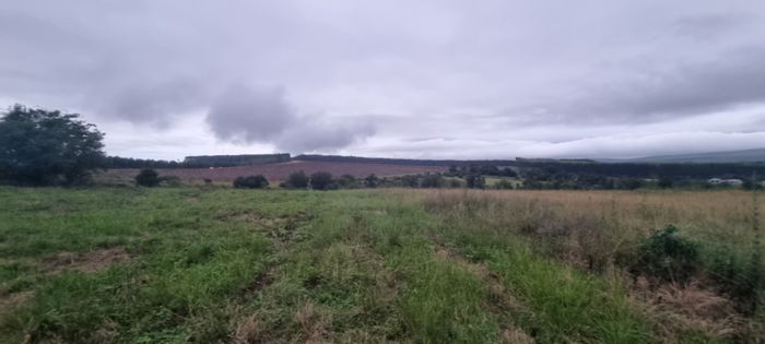 Vacant Land for Sale in White River Estates: Amenities include trails, courts, and runway.