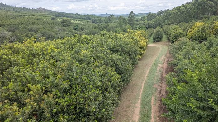 Nelspruit Rural Small Holding For Sale: Macadamia Orchards, Riverbank Access, Full Infrastructure.