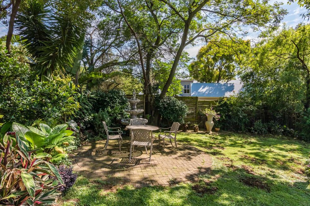 Beautiful trees with a variety of bird life