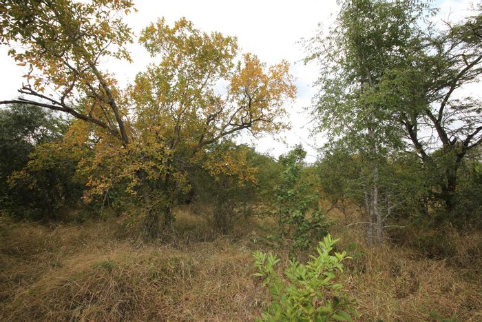 Vacant Land Residential For Sale in Moditlo Wildlife Estate, near Kruger National Park.