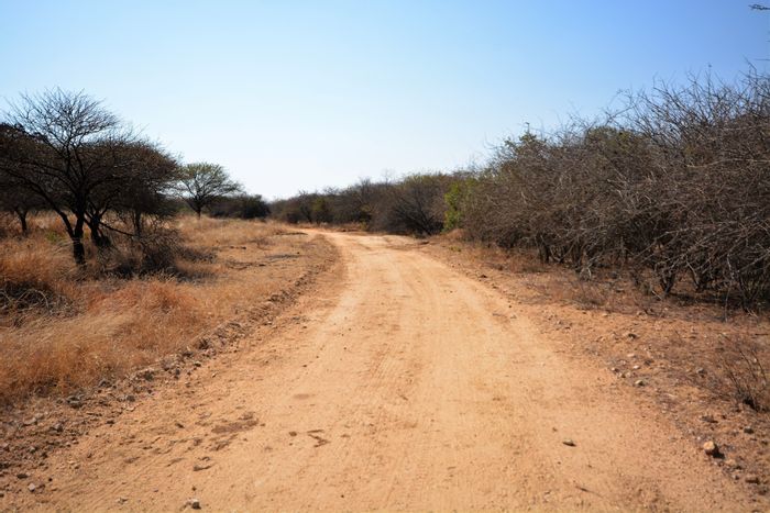 Vacant Land Residential in Moditlo Wildlife Estate For Sale, with game reserve access.