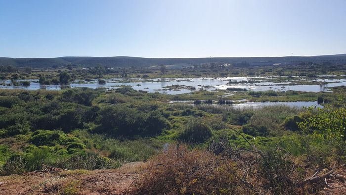 For Sale: 25-hectare Farm in Manor Heights, zoned for business and commercial use.